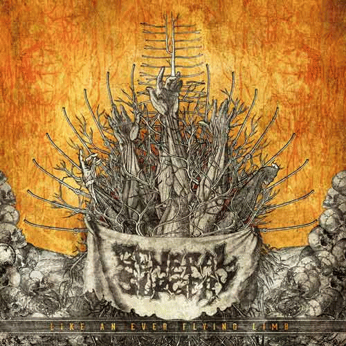 General Surgery : Like an Ever Flying Limb